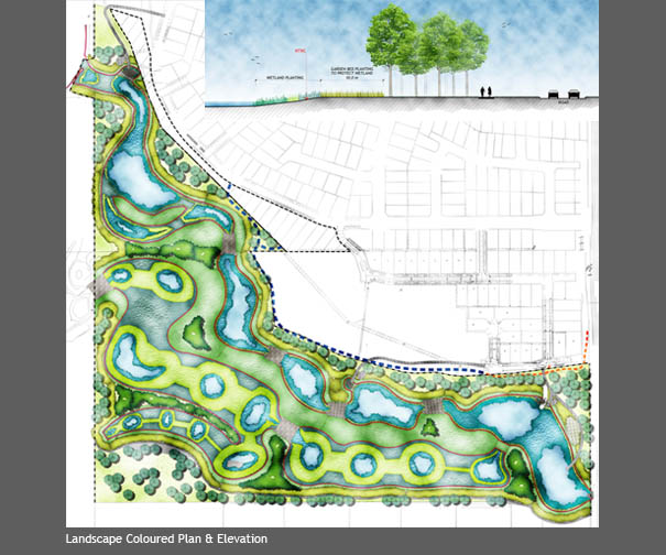 1_ti-tree-coloured-plans.jpg