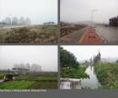 3_site-photos.jpg