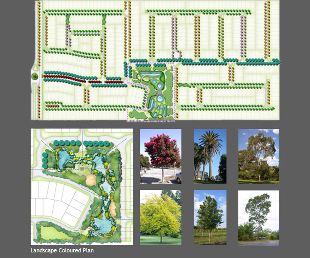 1_coloured-plan.jpg